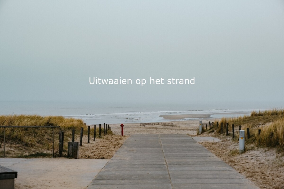 strand.jpg