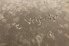 36F089FF_3065_483B_9EBC_8B7132E89464_1_105_c.jpeg